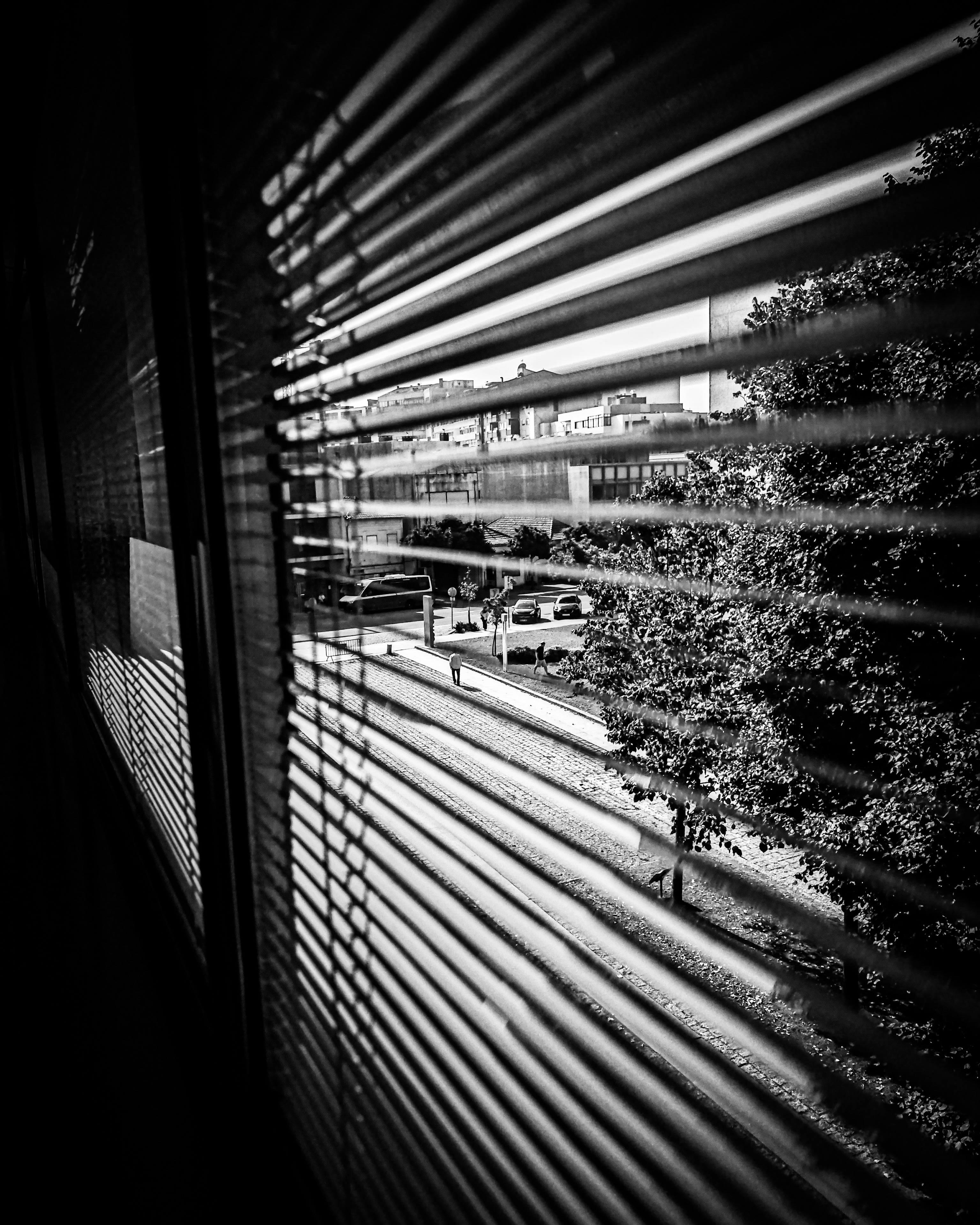 Street view through blinds in black and white